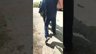 Они Несут радость