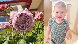 Состояние не очень... Перемена погоды дала по сосудах. Валера готовит обед...