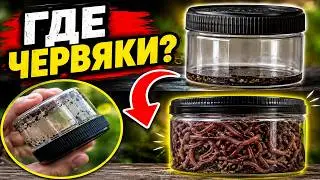 Универсальная чудо банка для червей за 5 минут своими руками