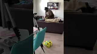 When you DON’T mind your business…
