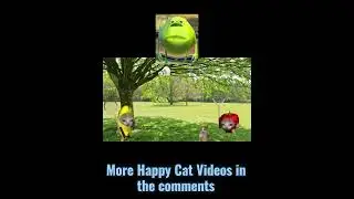 Banana cat & Apple cat plays badminton #shortvideo #shortsfeed #shorts