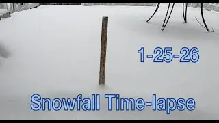 Snowfall Time lapse | 1-25-26