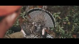 #HealthyForests - Ted Sommer - RGS & AWS Original Film