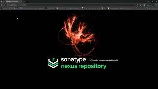 Sonatype nexus repository: nexus LDAP