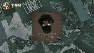 Struggle Musik: Emotional Trap Loops | #TrapLoops | #DarkLoops | #SampleLoops | YnK Audio |