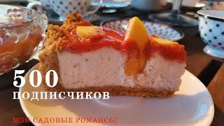 Мои садовые романсы! 500 подписчиков на моем канале!Спасибо друзья за поддержку!Желаю всем здоровья!