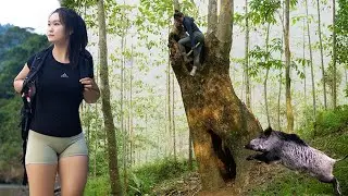 Wild Boar Attack - Build a Shelter in a Big Tree. Survival in the Jungle. Bushcraft Skills