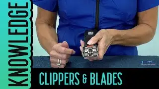 DIY Dog Clipper & Blade Maintenance for Pet Groomers