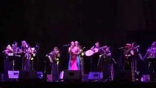 GENESIS CODINA - TATUAJES (5th Annual Rosarito Mariachi Festival)