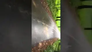 10.08.2017.Парк «Пышки».Гродно.