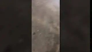 Monster burp