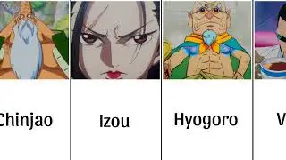 STRONGEST ONE PIECE CHARACTERS WITHOUT DEVIL FRUIT