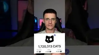 Cats лістинг у вересні😎 тг в описі♥️