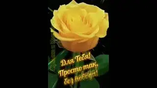 Для тебя