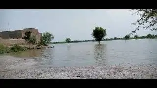 Satluj Water flood of south punjab Pakistan |Water Flood coming village punjab |Zs free video