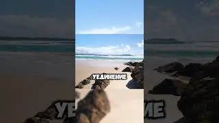 КУДА ЛЕТЕТЬ НА НОВЫЙ ГОД? #Индонезия #Индия #Шриланка #новыйгод
