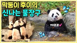 [ep.279] 막둥이 후이의 행복한 물장구타임🩵💦 ㅣ잔뜩 신난 루이후이와 애들 자제시키기 바쁜ㅋㅋㅋ심란한 아이바오🤣ㅣ아기 푸바오의 물장구..💕