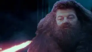 Kylo Ren meets Rubeus Hagrid