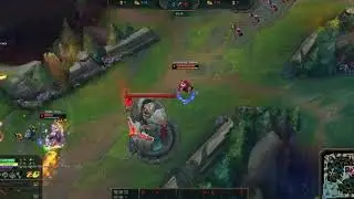 Chinese Lee sin