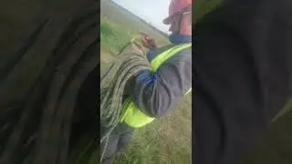 #муравьи #муравьинаяферма #разрушение #полезноивкусно  #дляздоровья #обед