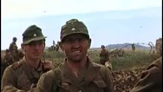 Цвет войны. Высадка в Нормандии.