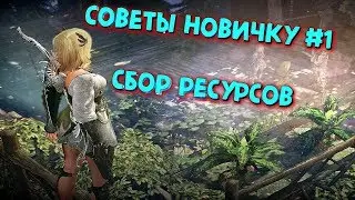 Black Desert Mobile ❗ Советы новичкам (Сбор Ресурсов) ❗