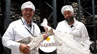 10 000 000 Kgs do 