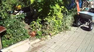Сегодня нам 16 дней #3]