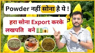 Powder नहीं सोना है ये !  🌿 | How To Export Senna Leaves 🌿 | Senna Leaves In High Demand 📈 | CIES