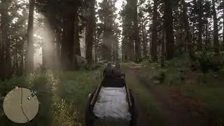 RDR2 Online - Volumetric Lighting in the Forest