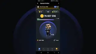 17июня комбо карты hamser combo