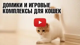Домики-когтеточки и игровые комплексы для кошек 😼