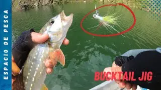 Pesca de tucunare o pavon con Bucktail Jig - Represa de Amani - Norcasia, Caldas, Colombia