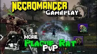 ESO Necromancer PvP | Plague Rat bow necro pvp