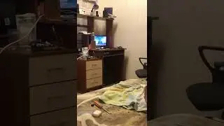 Автозвук дома