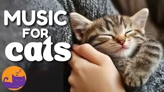 Magic Music for Cats - Instantly Soothing Music for Anxious Cats 🐱