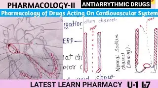 Antiarrhythmic Drugs | Cardiac Arrhythmia | Pharmacology of Drugs Acting on Cardiovascular System|L7