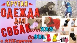 #ОДЕЖДА ДЛЯ СОБАКИ С ALIEXPRESS | ПОКУПКИ ДЛЯ СОБАКИ С АЛИЕКСПРЕСС | Посылки из Китая