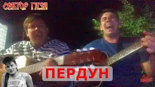 Сектор газа- Пердун. Кавер на гитаре.