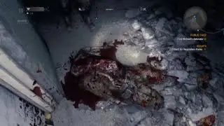 Dying Light! Toad Stomped To Death!