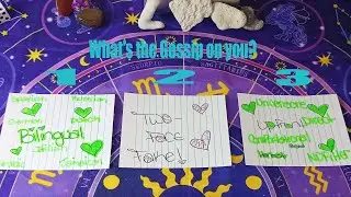 What's the Gossip on You!? Pick a Card!? 🧚🏼‍♀️