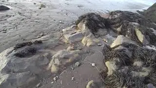 Beaches shout out for: Poesiem em Flor : https://www.youtube.com/channel/UC-C6r9hPzMqK98gHl2eltLg