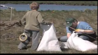 Icelandic Eiderdown - Quality of Nature