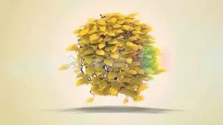Flying Leaves Logo Reveal | After Effects Project Files - Videohive template