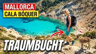 Mallorca insider tip☀️ to the bay near Port de Pollença 🌴 Cala Bóquer