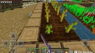 Моё подземелье и мой огород!!!