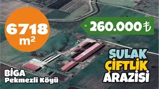 Biga merkeze yakın 6718 m² Sulak Çiftlik Arazisi, Pekmezli köyü, Biga, Çanakkale