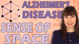 Alzheimer-forskning 1: Stedsans i Alzheimers sykdom