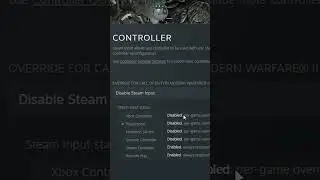 Modern Warfare 2 Steam Controller Fix!