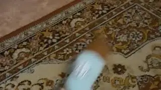 Моя весёлая собака